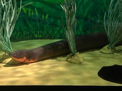 -上海海洋水族馆