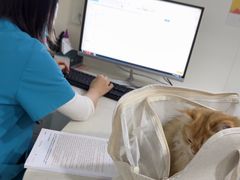 -佳雯宠物医院·皮肤科·内外科(春晓路分院)