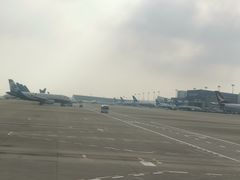 -厦门高崎国际机场-T3航站楼