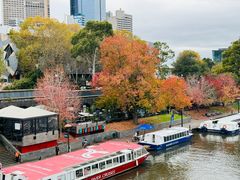 -墨尔本皇家植物园