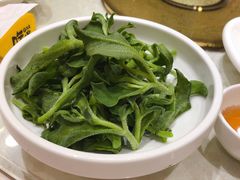 南非冰草-顺风海鲜港(金玉兰店)