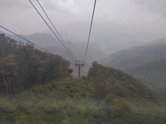 -牛背梁国家森林公园