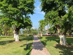 -琅岐红光湖公园
