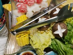 -春润大地海南椰子鸡(沙井京基百纳广场店)