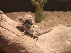 -酷嗒动物文化乐园(cutezoo西溪乐天城店)