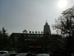 -听松楼·花园酒店·自助餐厅(红梅公园店)