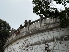 -苏州上方山国家森林公园