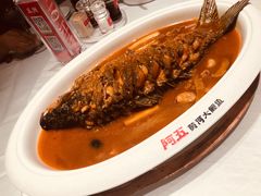 -阿五黄河大鲤鱼(纬三路店)