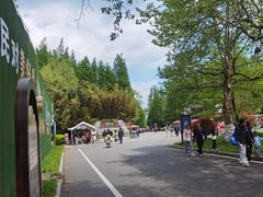 -日照海滨国家森林公园