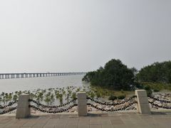 -宝安西湾红树林湿地公园