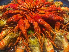 -红盔甲·小龙虾(车公庙店)