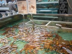 -盒马鲜生(宝地店)