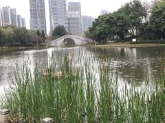 -映月湖公园