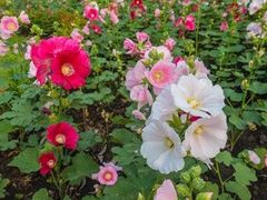 -保利万和CFR国际影城(钱江世纪城店)