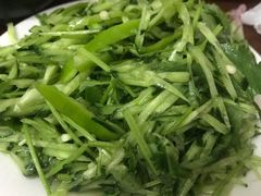 老虎菜-宝瑞门钉肉饼店