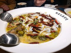 -新太二·鲜料川菜(群光广场店)