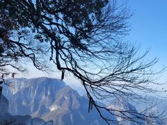 -张家界天门山国家森林公园