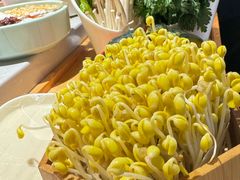 -俏牛哥鲜牛肉牛肆馆(重庆天地店)