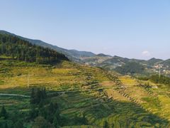 -紫鹊界梯田景区