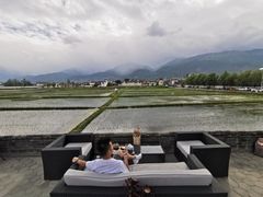 -喜林苑·稻田餐厅(品相府店)