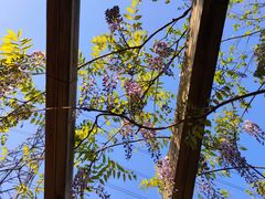 -La Creperie法餐厅(桃江路店)