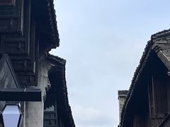 -乌镇西栅景区