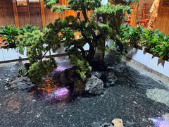-田园印象·成都土菜院子(华阳店)