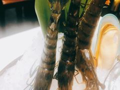 九节虾-德米火锅(深圳湾1号旗舰店)