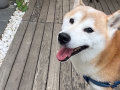-冬日咖啡