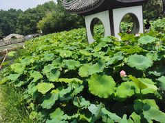 -宜兴张公洞