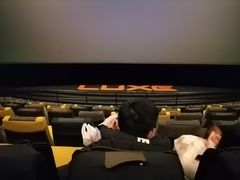 -百美汇影城(LUXE嘉里中心店)