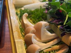 -慢丽江·云南野生菌土鸡锅(西山店)