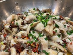 -百岁鱼(七一路店)