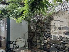 -喵屿·大理花园猫咖