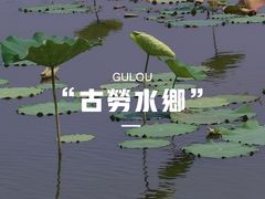 -江门古劳水乡旅游区