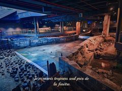 -元代水闸遗址博物馆