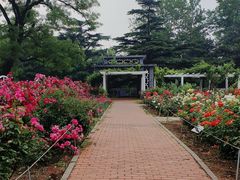 -国家植物园南园