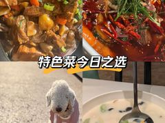 -洋洋中餐馆·SINCE 1997(信投店)