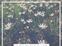 -白鹭湾湿地公园