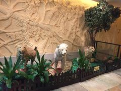 -麒麟中餐厅·经典粤菜·地道菜式老字号(广州长隆酒店)