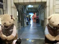 -济州岛泰迪熊博物馆