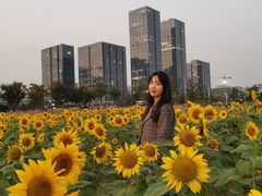 -映月湖中央公园