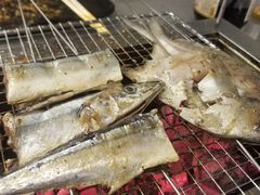 -老吕涮羊肉•东北原味烧烤•大油边•烤鱼(五角场店)