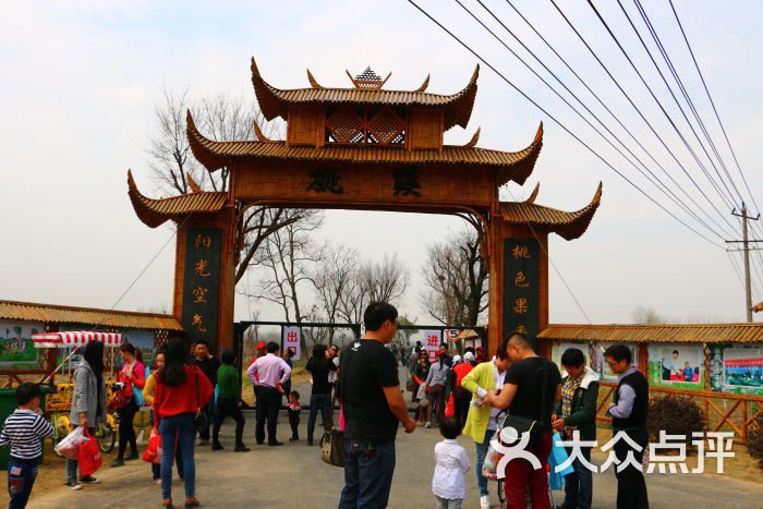 桃蹊农场三十岗基地图片 - 第74张