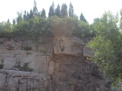 -原山国家森林公园