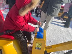 -沈阳奥体冰雪嘉年华