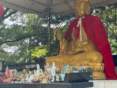 -上海佘山国家森林公园天马山园