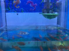 -汤姆熊欢乐世界(大连恒隆广场店)