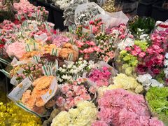 -溪岸路花鸟市场