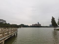 -顺峰山公园